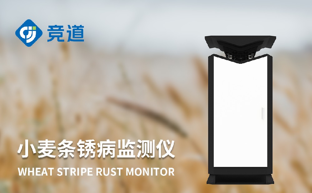 小麥條銹病監測儀提升小麥病害治理能力