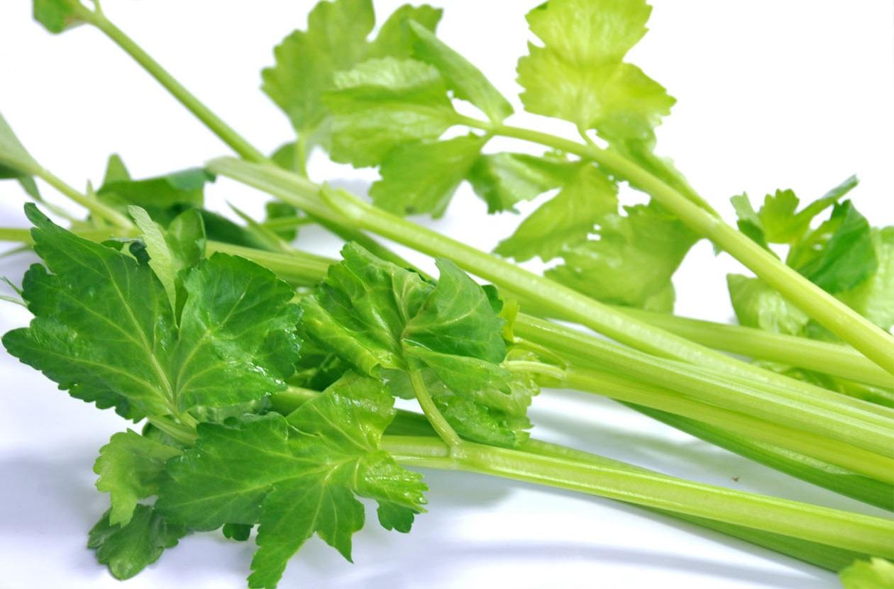 蔬菜是個寶，這些部位也更好！